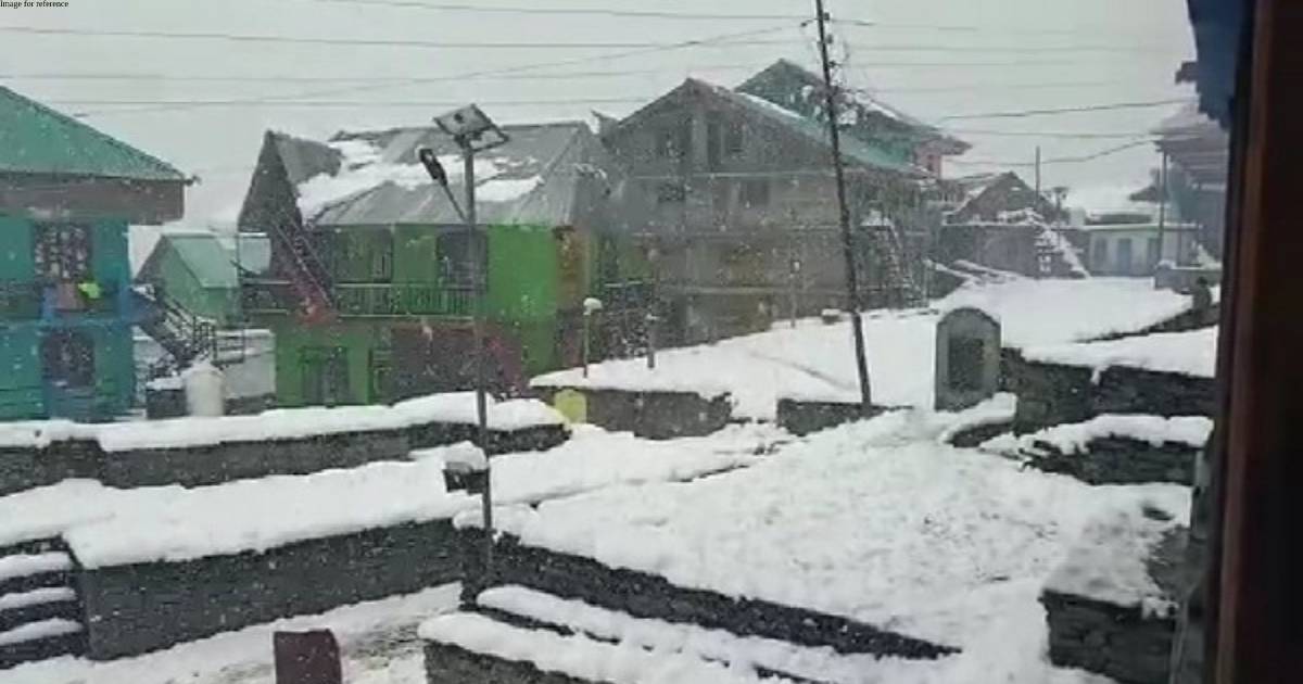 Himachal Pradesh receives fresh snowfall, more likely in next 48 hrs